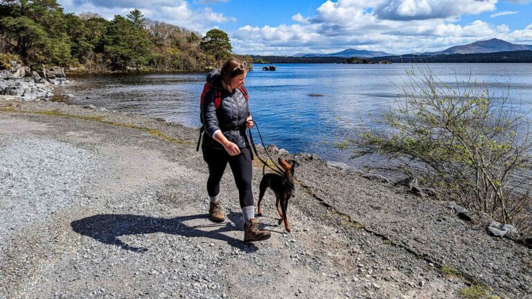 Hero Responsible dog friendly travel Photo Lottie Gross scaled