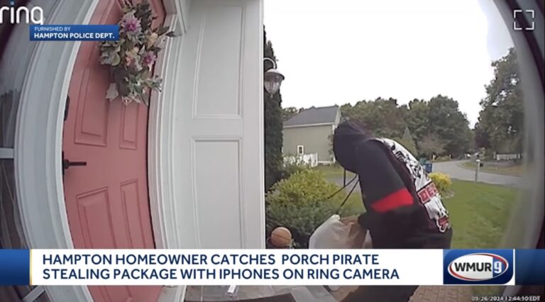 porch pirate scaled