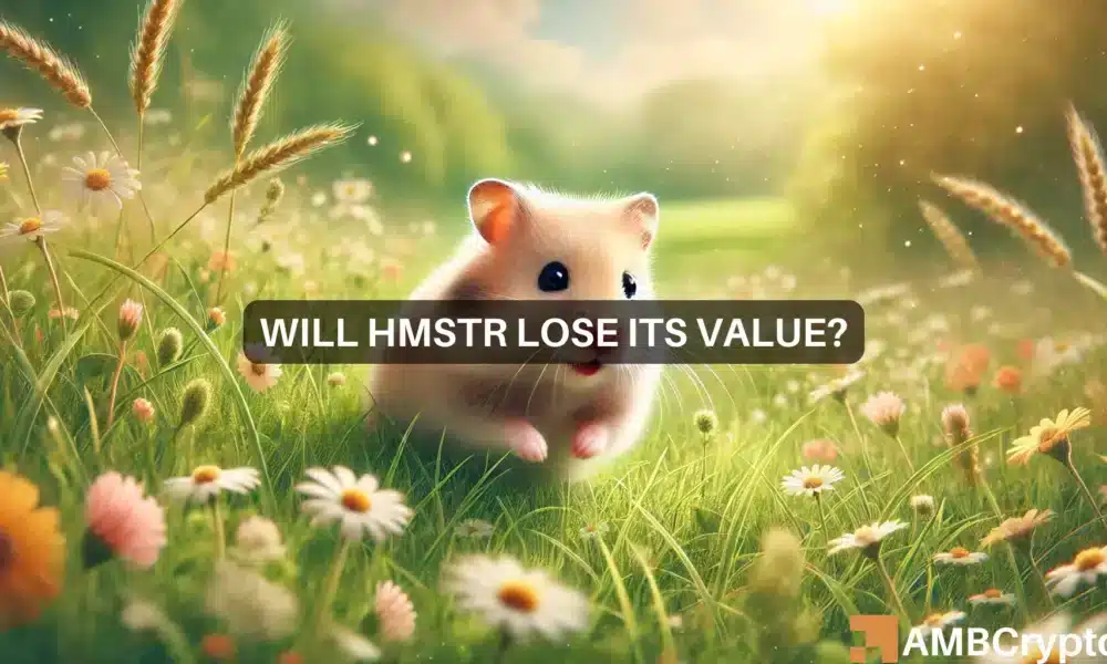 Will HMSTR lose its value